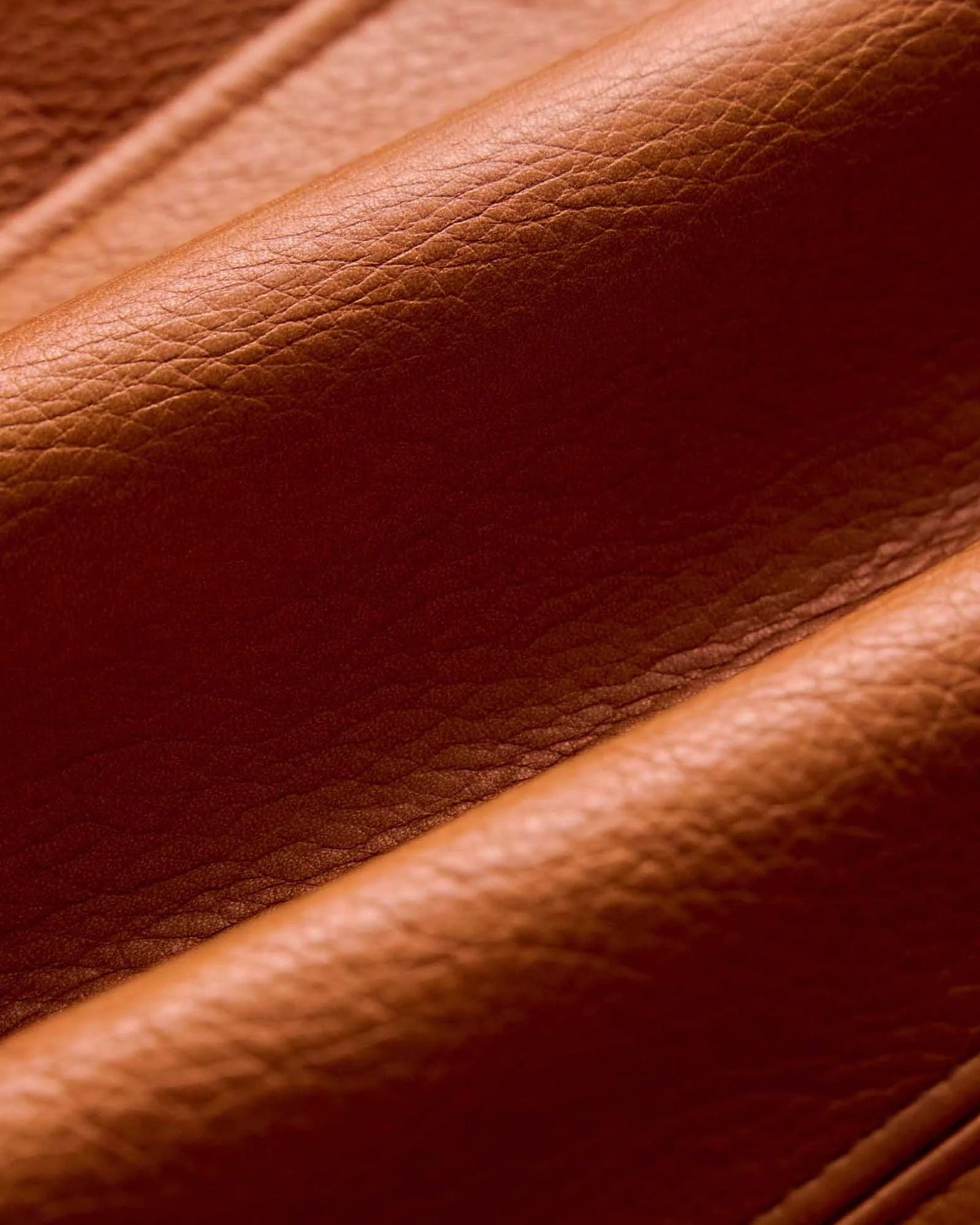 The Moto Jacket in Whiskey Steerhide