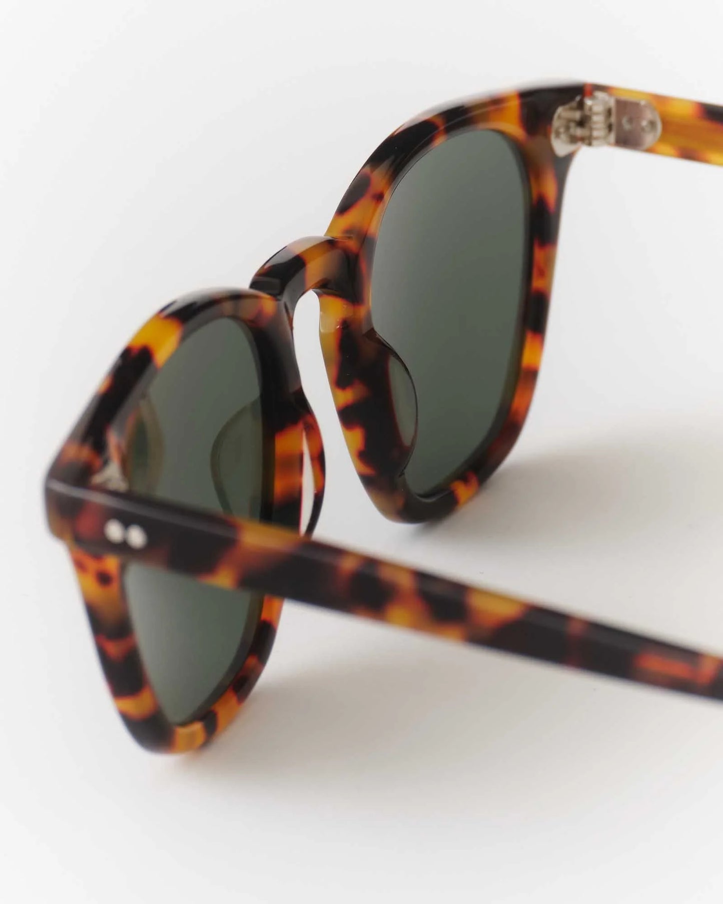 The Legend in Tokyo Tortoise