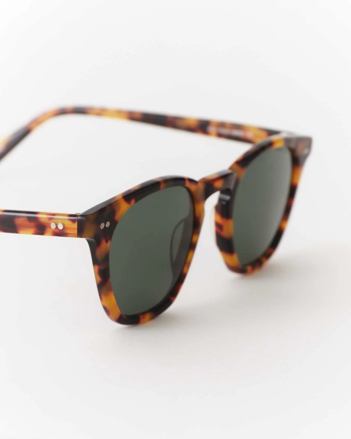 The Legend in Tokyo Tortoise
