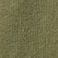 The Rugby Shirt in Burnt Olive