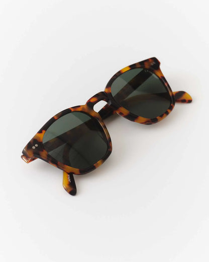 The Legend in Tokyo Tortoise