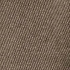 The Apres Short in Organic Espresso Foundation Twill
